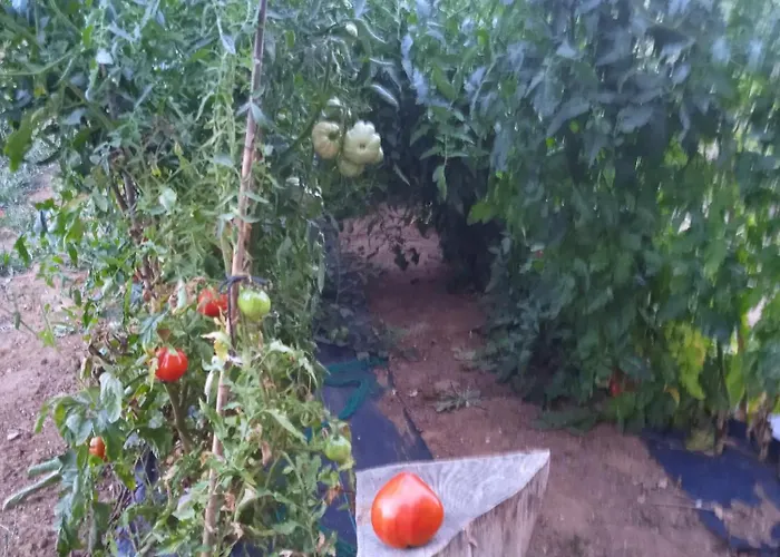 Feriehus Piermonde *